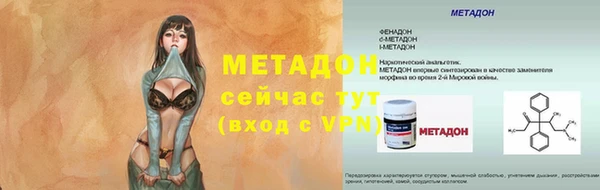 прущие грибы Новочеркасск