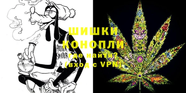 прущие грибы Новочеркасск