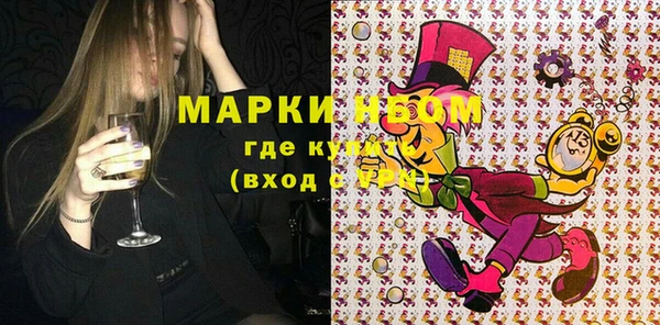 прущие грибы Новочеркасск