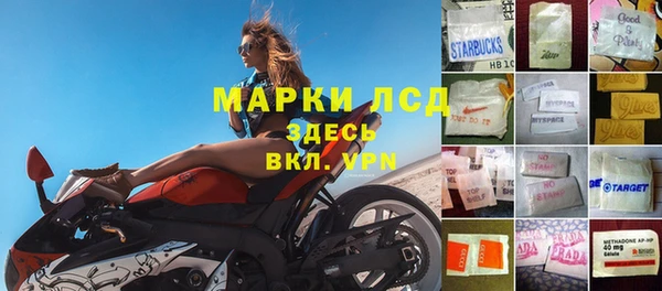 прущие грибы Новочеркасск