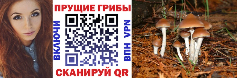 Псилоцибиновые грибы MAGIC MUSHROOMS  hydra ссылка  Назрань 